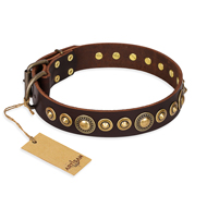 "Ancient Warrior" FDT Artisan Fancy Leather American Bulldog Collar with Old-Bronze Plated Decorations "Ancient Warrior" FDT Artisan Fancy Leather American Bulldog Collar with Old-Bronze Plated Decorations