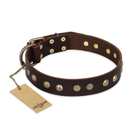 "Bronze Sheen" FDT Artisan Leather American Bulldog Collar with Brass-Plated Studs