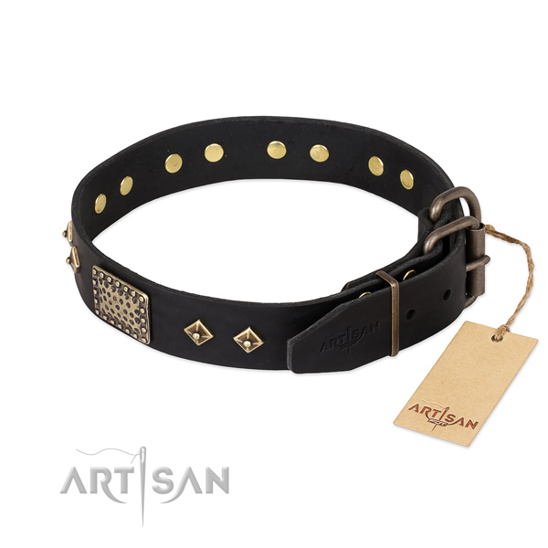 Genuine leather dog collar with corrosion proof D-ring and embellishments