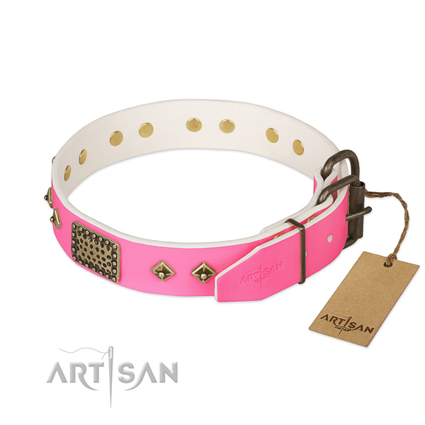Rust-proof buckle on comfortable wearing dog collar