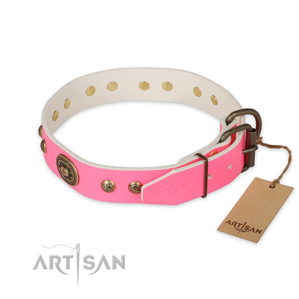 Rust resistant fittings on genuine leather collar for stylish walking your doggie