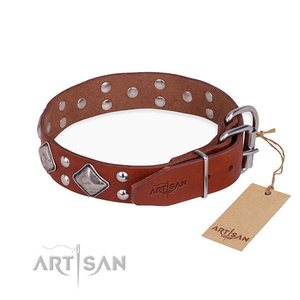 Natural leather dog collar with exceptional durable adornments