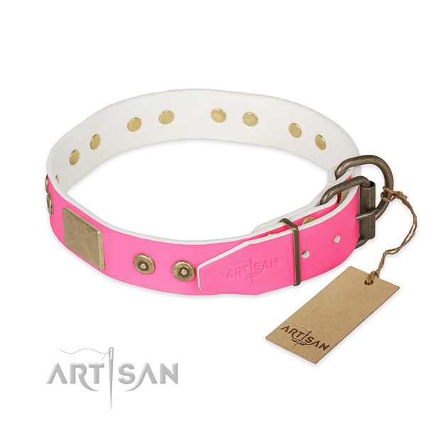 Corrosion resistant studs on everyday walking dog collar