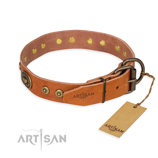 Leather dog collar made of quality material with rust resistant studs