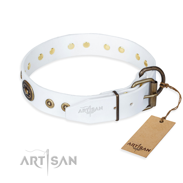 Leather dog collar made of flexible material with rust resistant embellishments