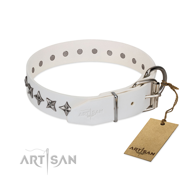 Reliable natural leather dog collar with top notch studs