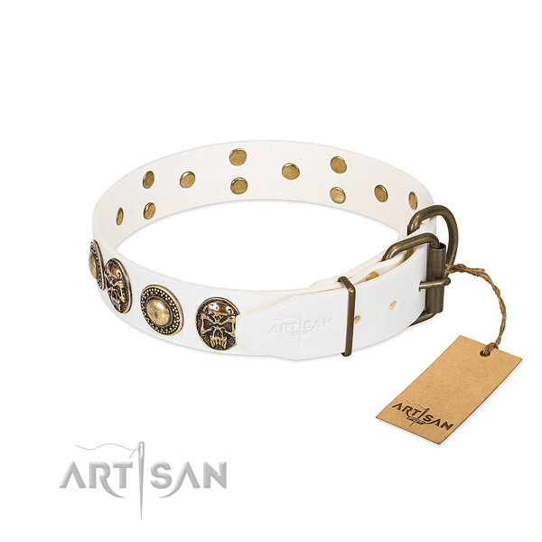 Corrosion proof fittings on everyday use dog collar