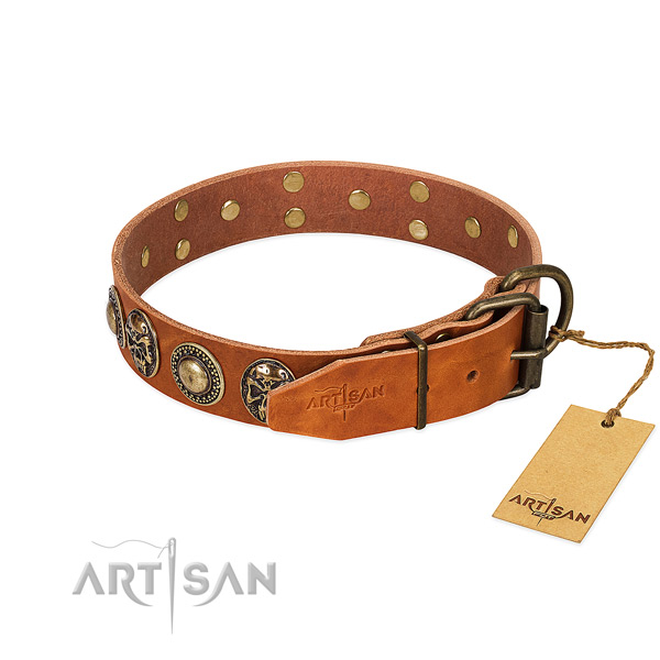 Corrosion proof fittings on basic training dog collar