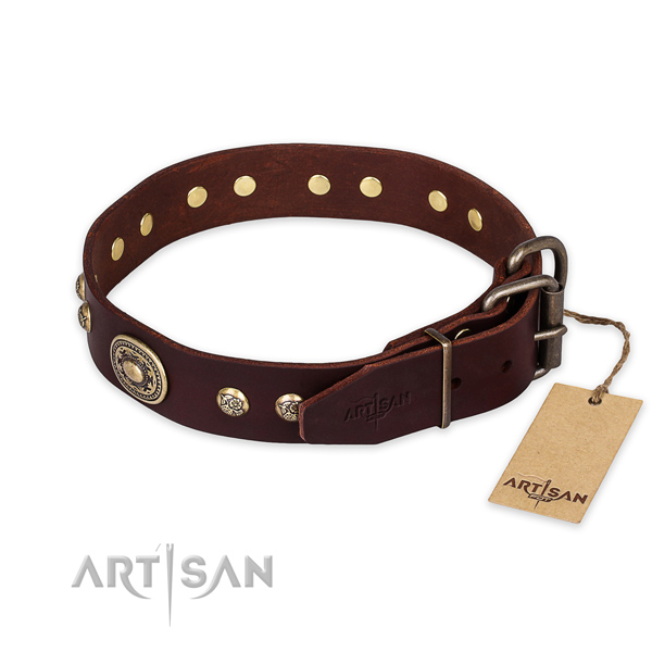 Rust resistant hardware on leather collar for stylish walking your canine