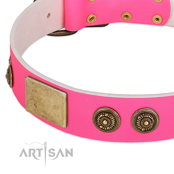 Perfect fit dog collar handmade for your handsome pet