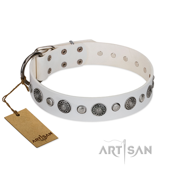 Top notch genuine leather dog collar with corrosion proof fittings