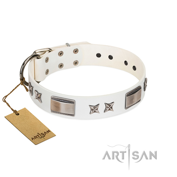 Fashionable dog collar of full grain genuine leather