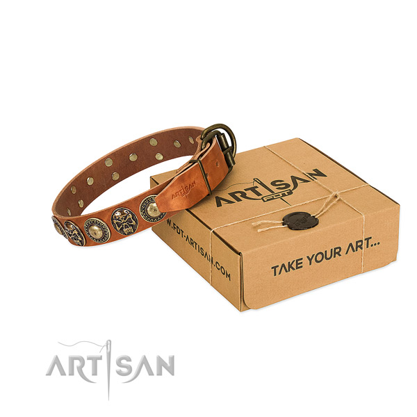 Rust resistant decorations on dog collar for everyday walking