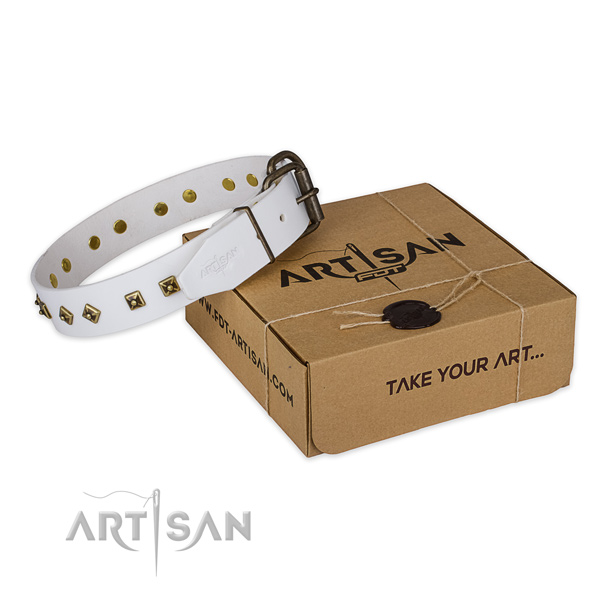 Corrosion proof traditional buckle on genuine leather dog collar for comfy wearing