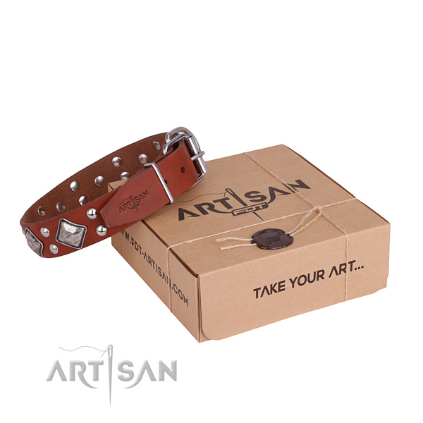 Stylish walking dog collar with Impressive strong adornments
