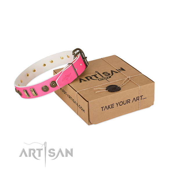 Rust resistant embellishments on natural leather dog collar for your doggie