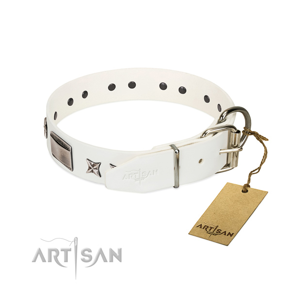 Remarkable collar of leather for your attractive canine