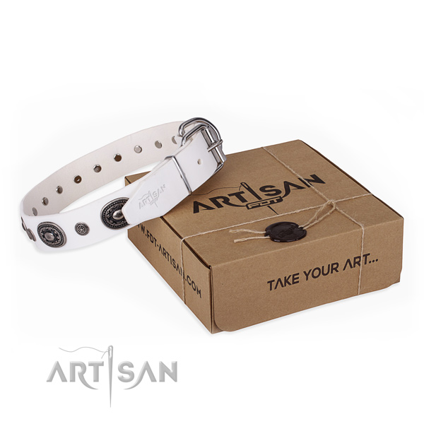 Gentle to touch full grain natural leather dog collar made for daily walking
