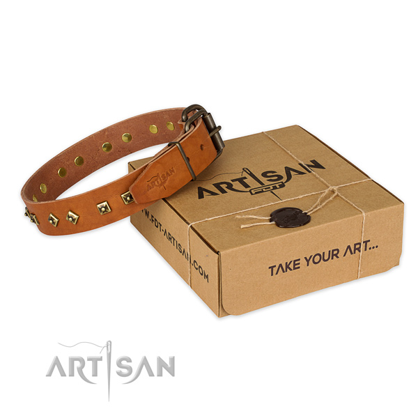 Reliable buckle on full grain leather dog collar for fancy walking