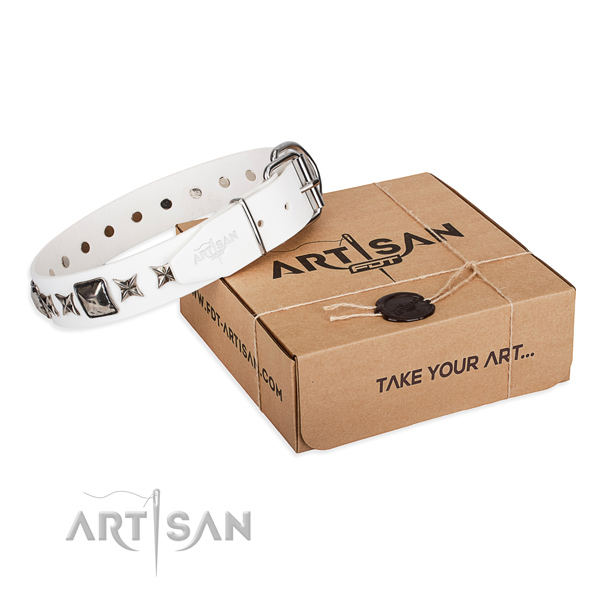 Basic training genuine leather dog collar with studs