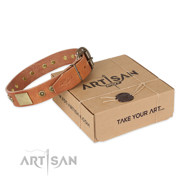 Strong fittings on full grain natural leather dog collar for walking