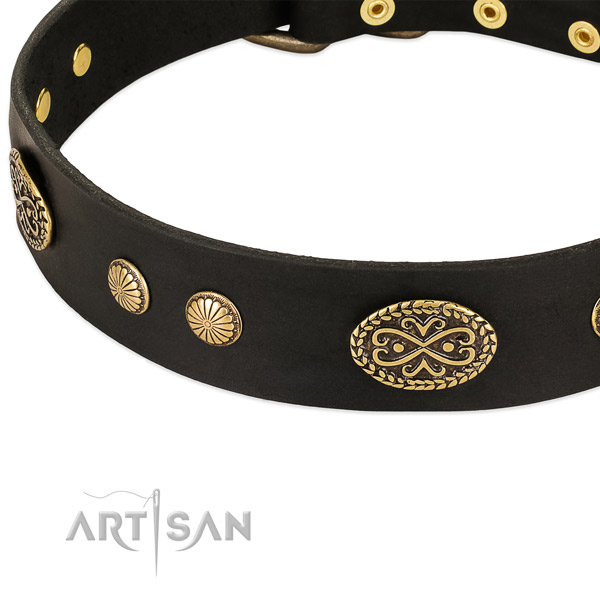 Corrosion resistant traditional buckle on natural leather dog collar for your dog