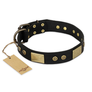 "Spanish night" FDT Artisan Fashionable Leather Walking American Bulldog Collar