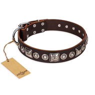 "Pierian spring" FDT Artisan Brown Leather American Bulldog Collar with Silvery Decorations