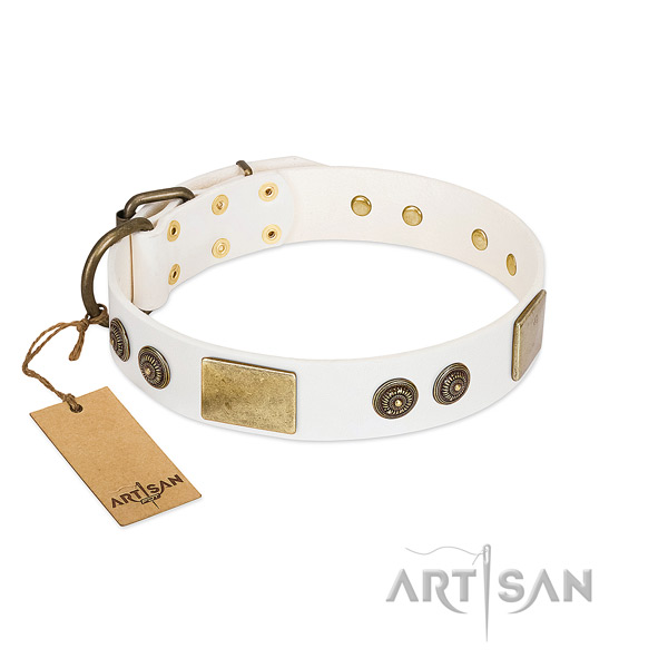 Easy wearing full grain genuine leather dog collar for everyday use