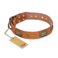 "Cosmic Traveller" FDT Artisan Adorned Leather American Bulldog Collar with Old Bronze-Plated Stars and Plates "Cosmic Traveller" FDT Artisan Adorned Leather American Bulldog Collar with Old Bronze-Plated Stars and Plates