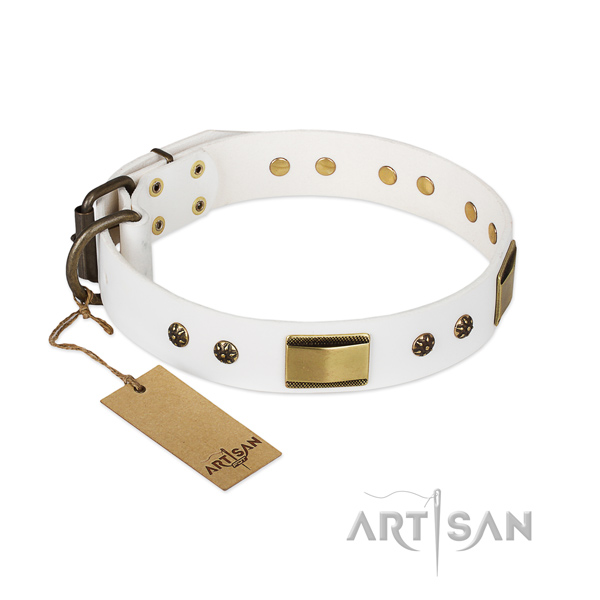 Amazing leather collar for your pet