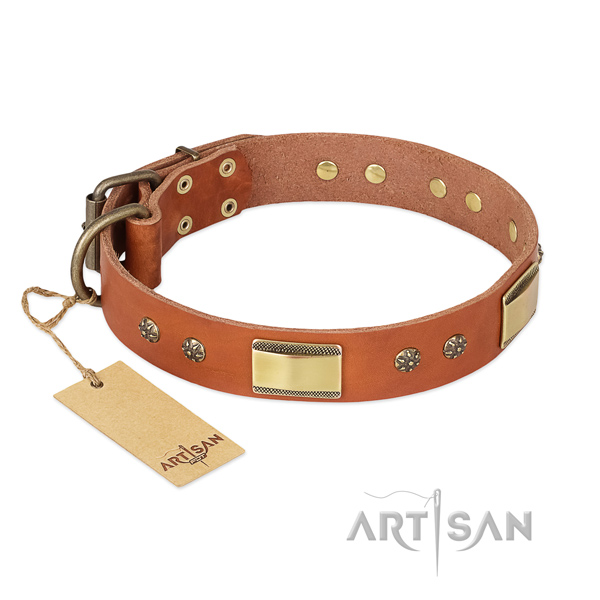 Exquisite full grain leather collar for your doggie