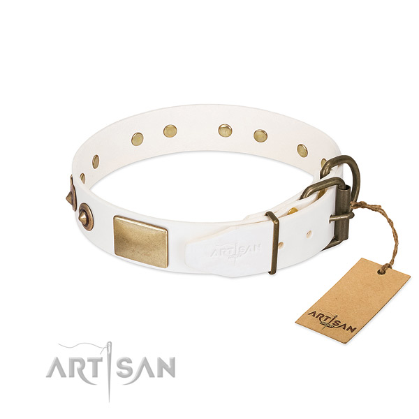 Rust resistant decorations on leather dog collar for your doggie