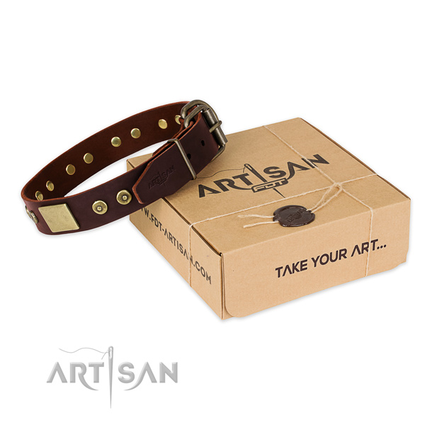 Rust resistant decorations on dog collar for stylish walking