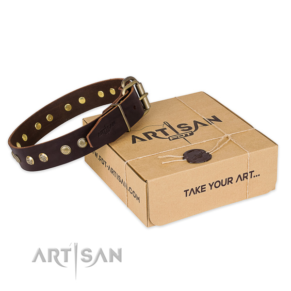 Rust-proof traditional buckle on full grain natural leather collar for your stylish canine