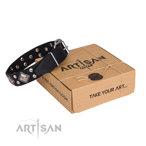 Handy use dog collar with Significant durable decorations