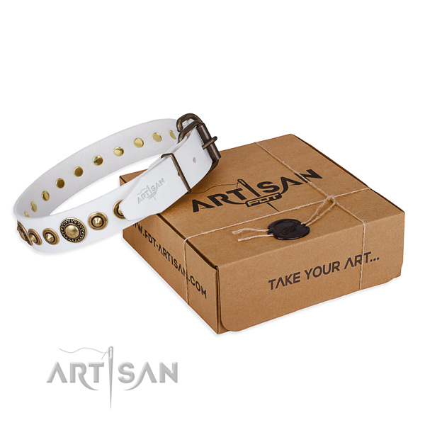 High quality natural genuine leather dog collar handcrafted for walking