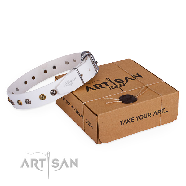 Comfortable wearing dog collar with Unusual durable adornments
