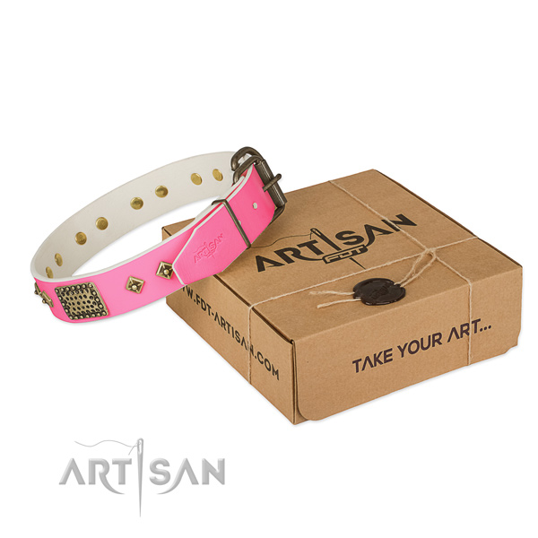 Durable embellishments on dog collar for basic training