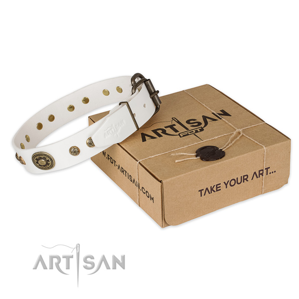 Corrosion proof fittings on full grain leather dog collar for everyday walking