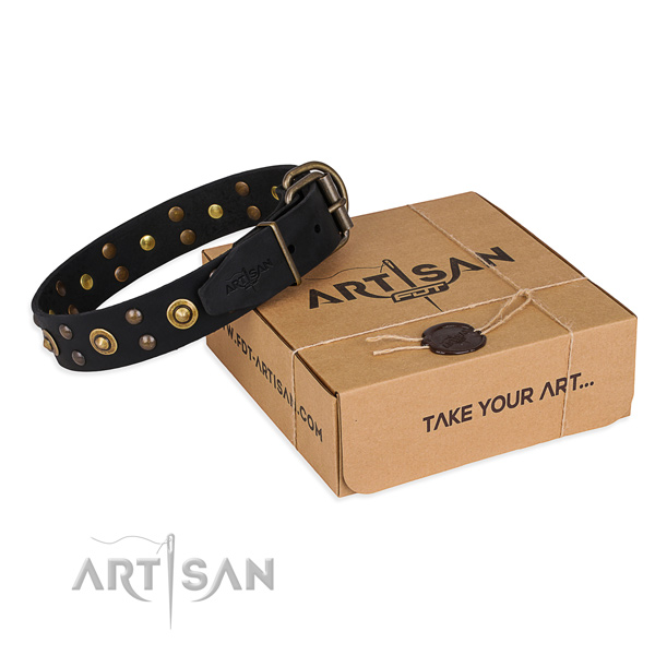 Reliable buckle on full grain leather collar for your handsome canine