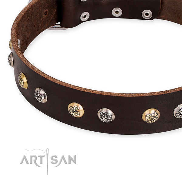 Full grain natural leather dog collar with unique rust-proof embellishments