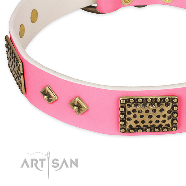 Leather dog collar with embellishments for stylish walking