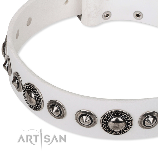 Everyday use studded dog collar of finest quality full grain natural leather