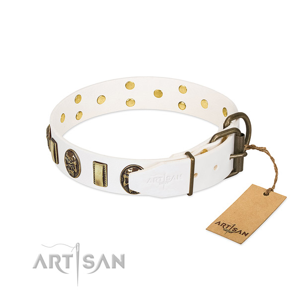 Rust-proof D-ring on genuine leather collar for basic training your doggie