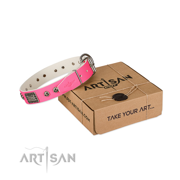 Durable buckle on dog collar for handy use