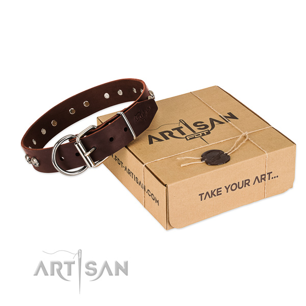 Rust-proof adornments on dog collar for walking