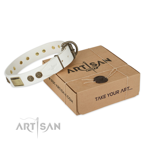 Corrosion resistant traditional buckle on full grain natural leather dog collar for comfy wearing