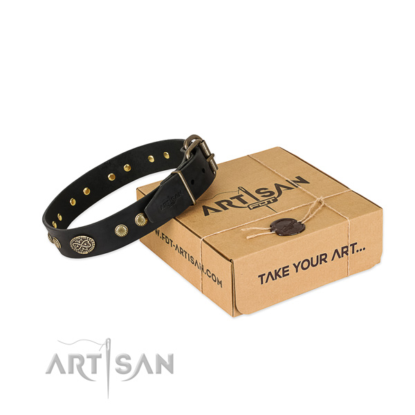 Rust-proof traditional buckle on full grain leather dog collar for your dog