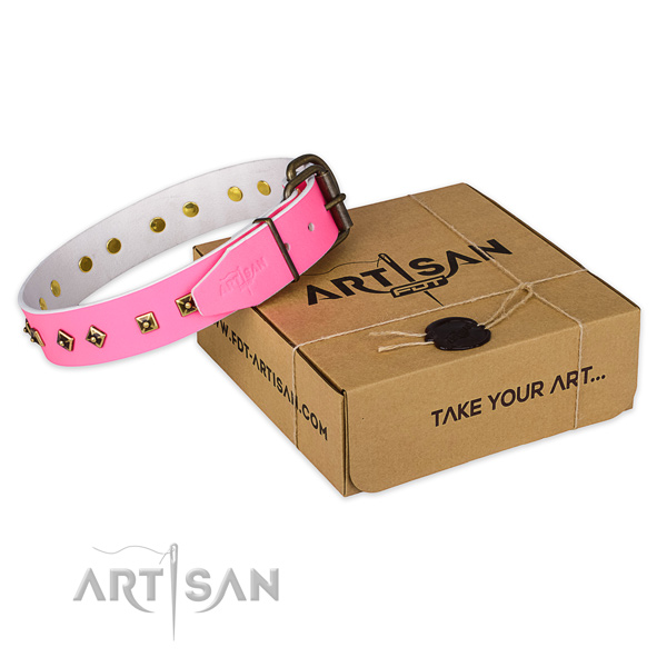 Rust resistant traditional buckle on genuine leather dog collar for daily use